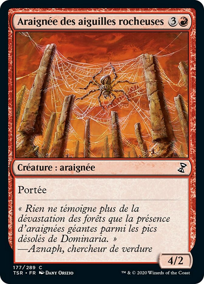 image Araignée des aiguilles rocheuses