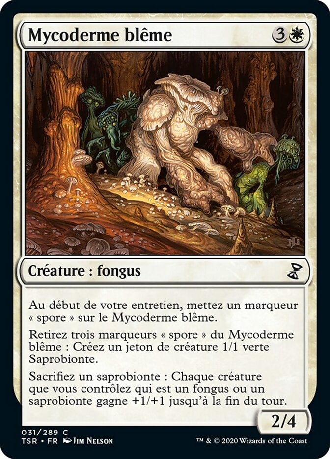 image Mycoderme blême