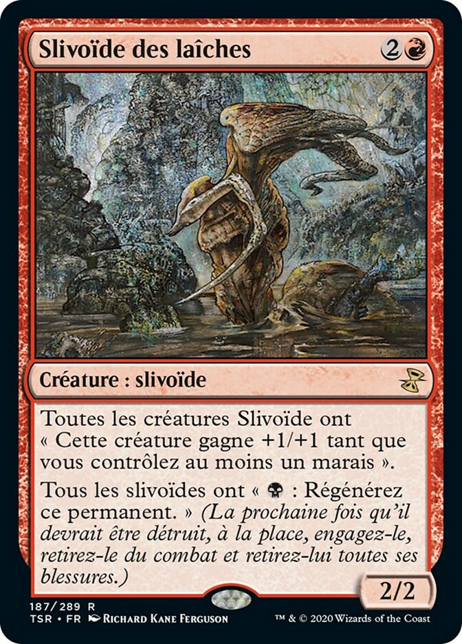 image Slivoïde des laîches
