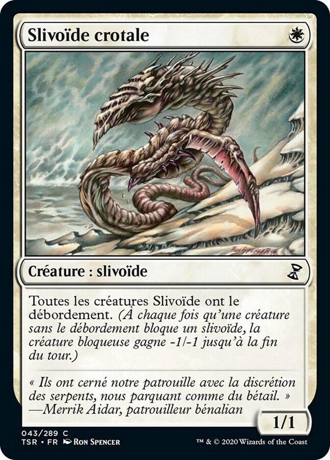 image Slivoïde crotale