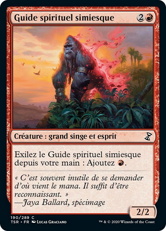 image Guide spirituel simiesque