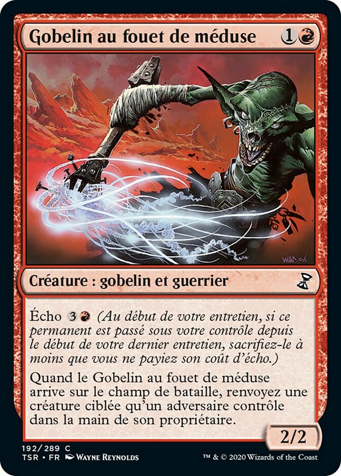 image Gobelin au fouet de méduse