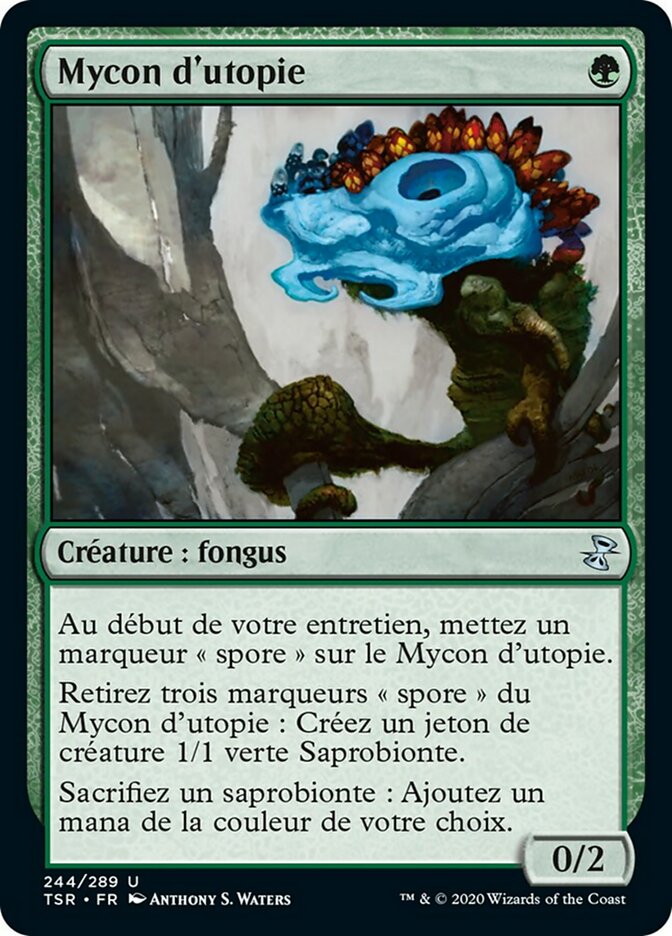 image Mycon d'utopie