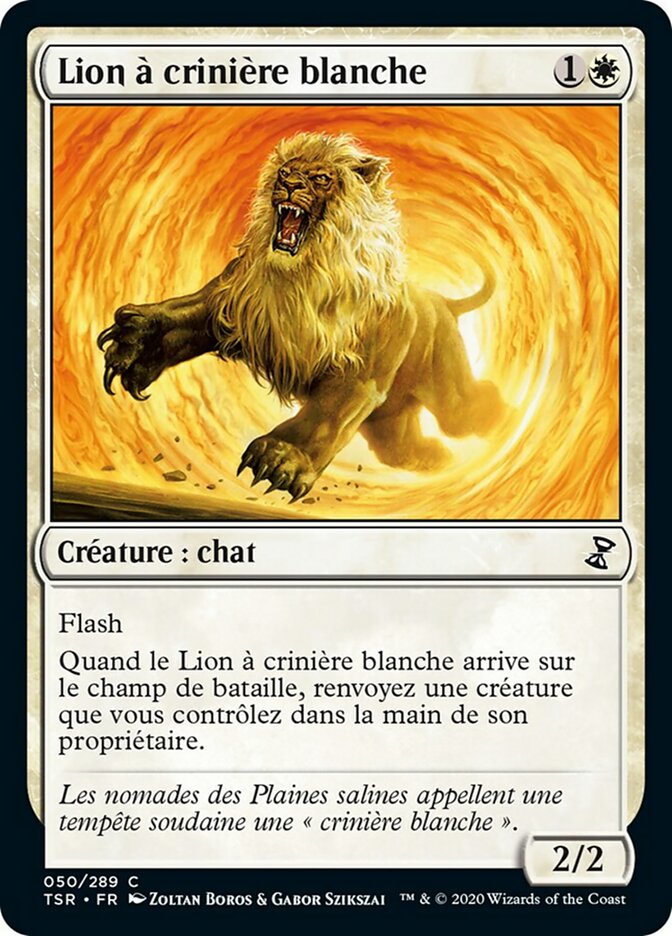 image Lion à crinière blanche