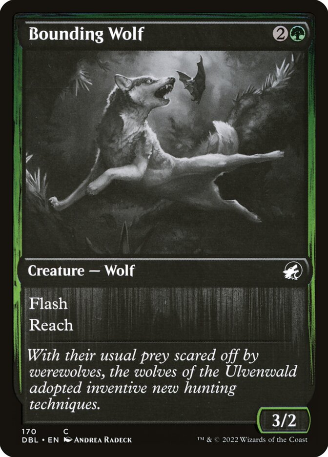 image Bounding Wolf
