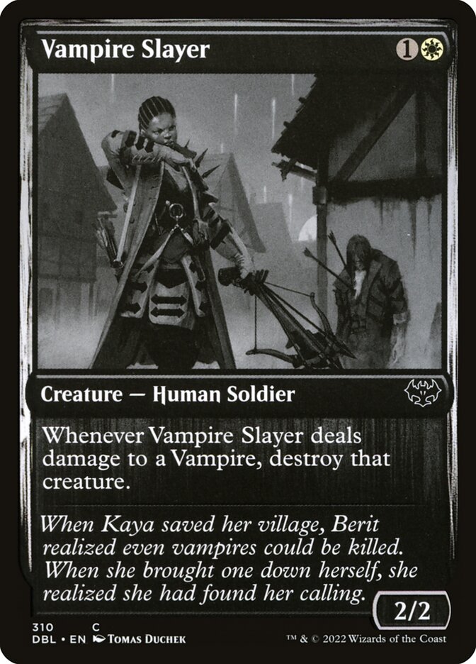 image Vampire Slayer