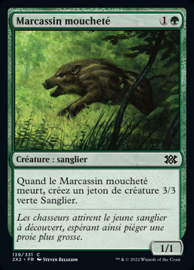 image Marcassin moucheté