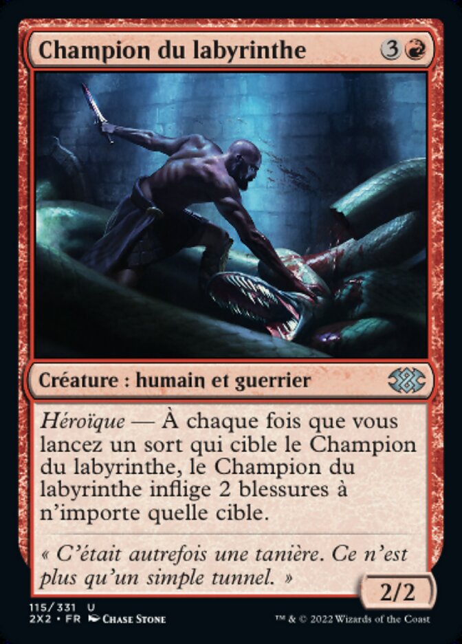 image Champion du labyrinthe