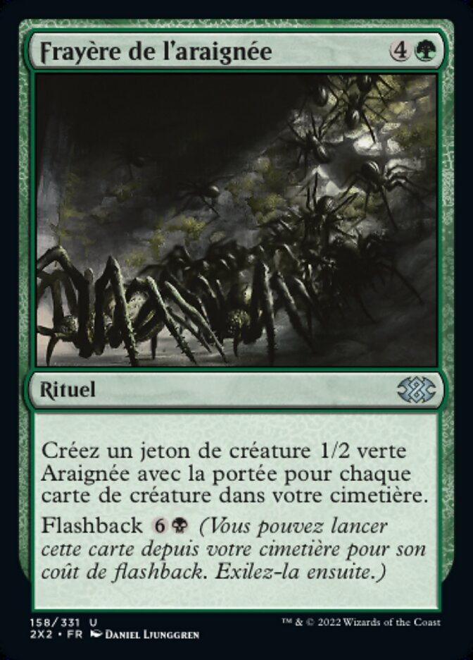 image Frayère de l'araignée
