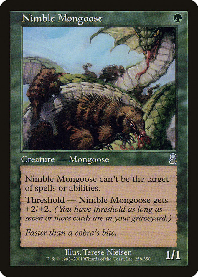 image Nimble Mongoose