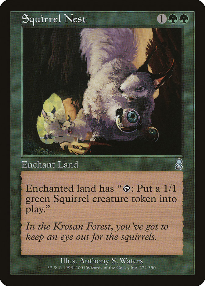 image Squirrel Nest