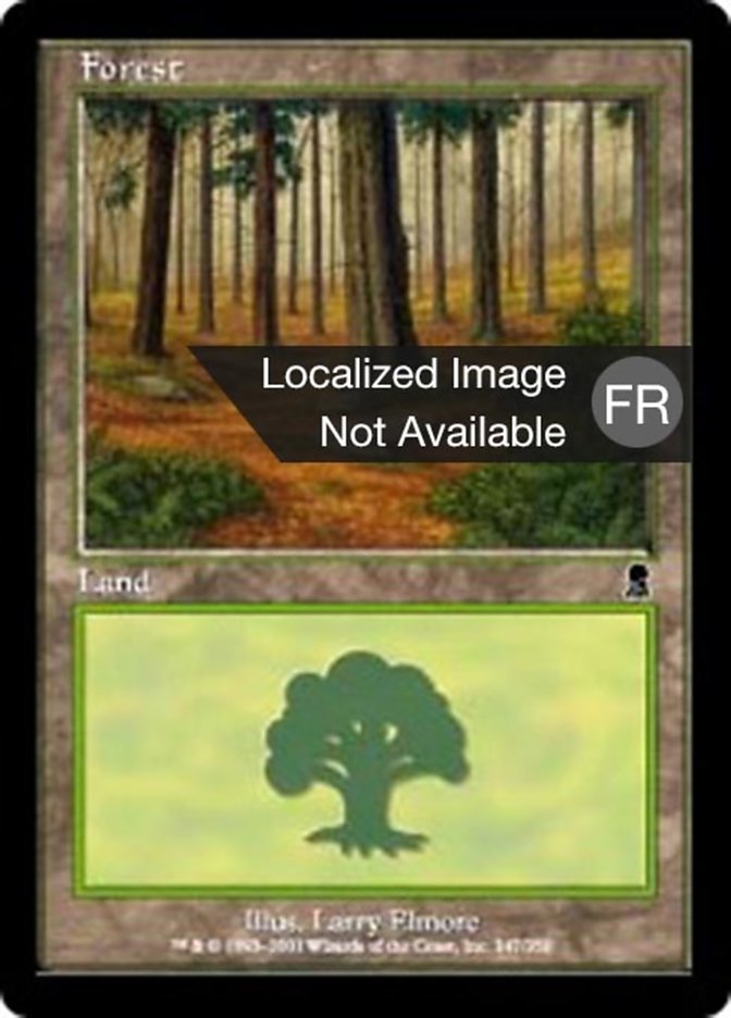 image Forêt