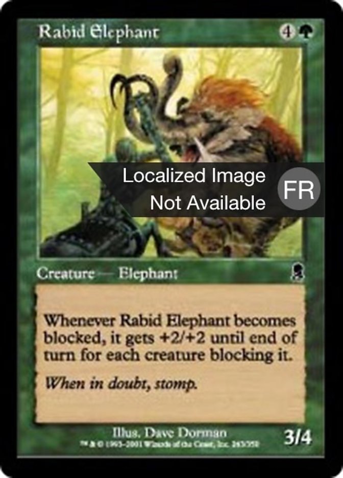 image Éléphant enragé