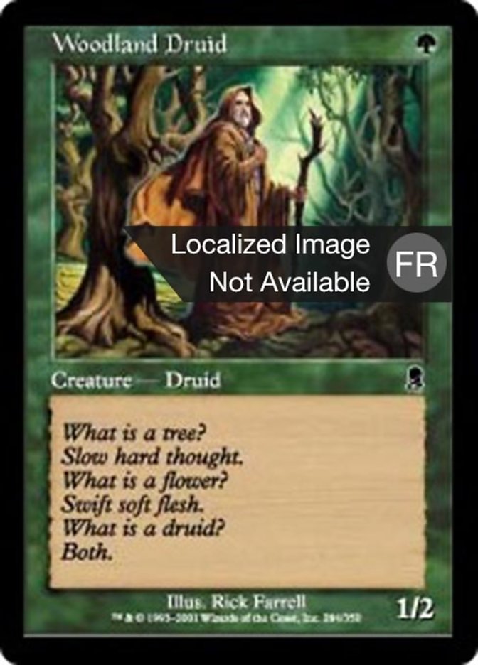 image Druide des sylves