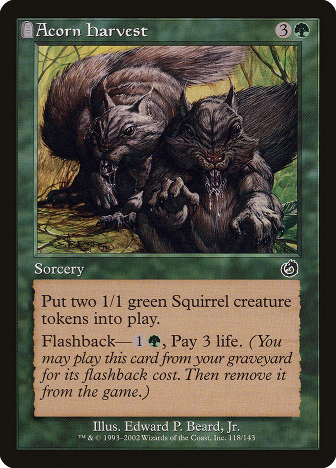 image Acorn Harvest