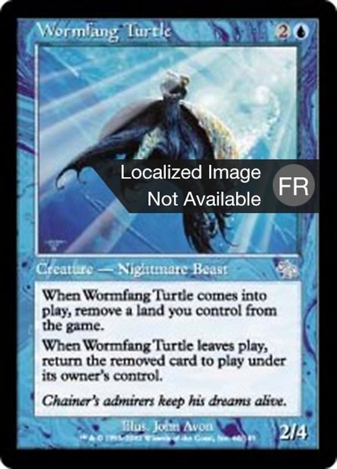 image Tortue asticroc