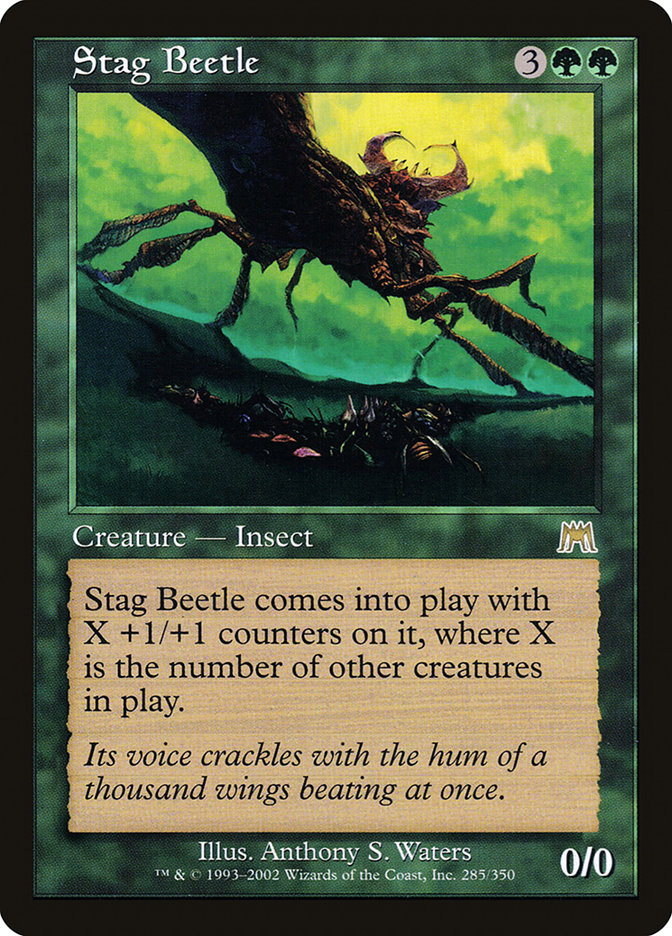 image Stag Beetle