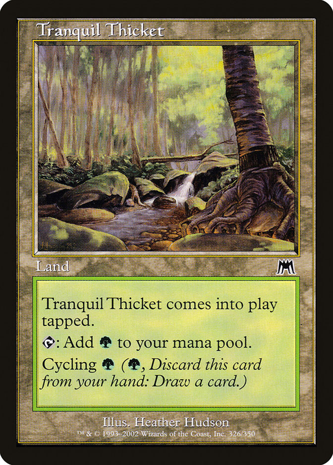 image Tranquil Thicket