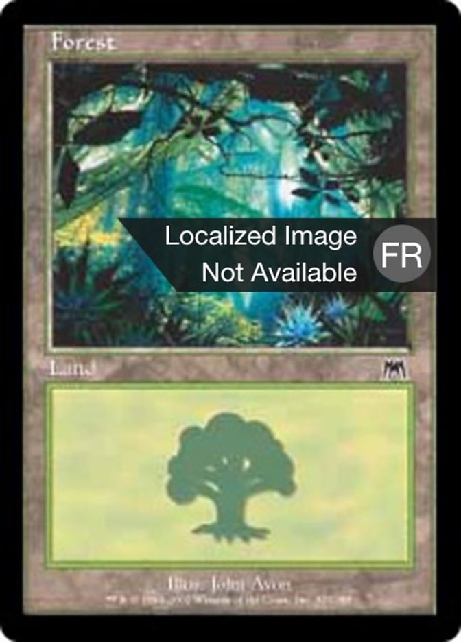 image Forêt