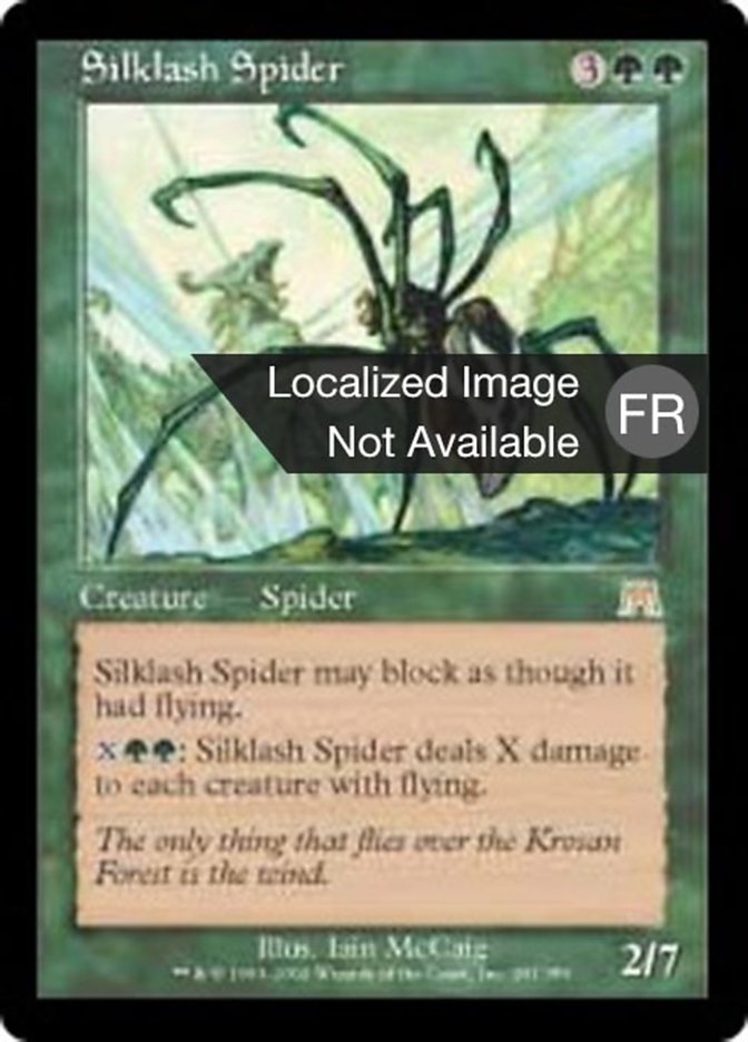 image Araignée fouettesoie