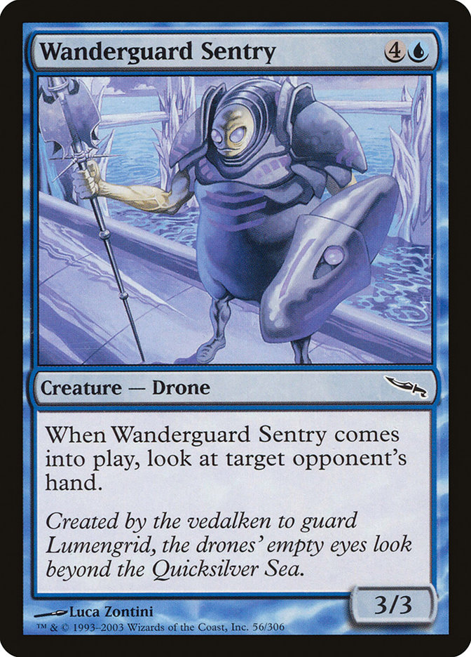 image Wanderguard Sentry