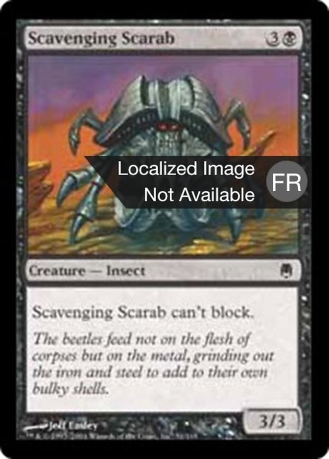 image Scarabée nécrophage