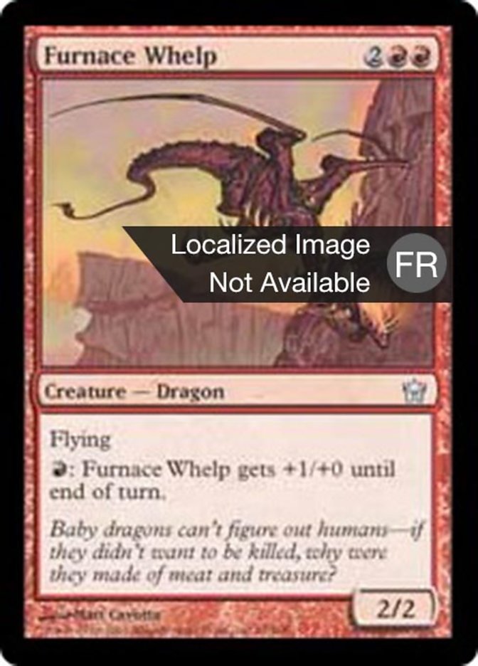 image Dragonnet du fourneau