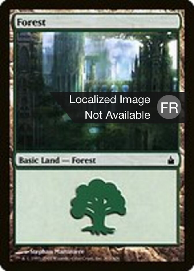 image Forêt