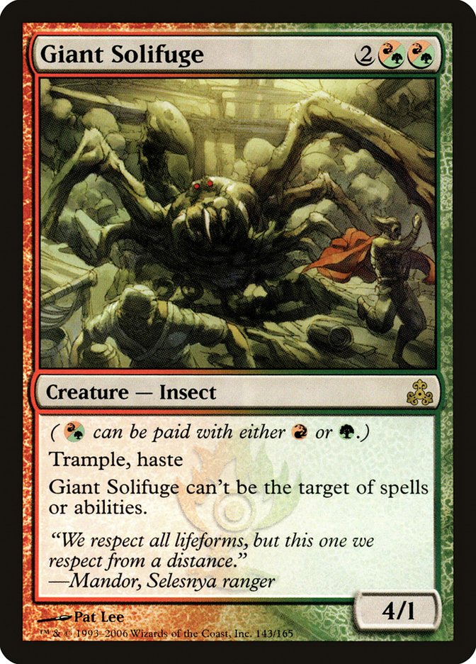 image Giant Solifuge