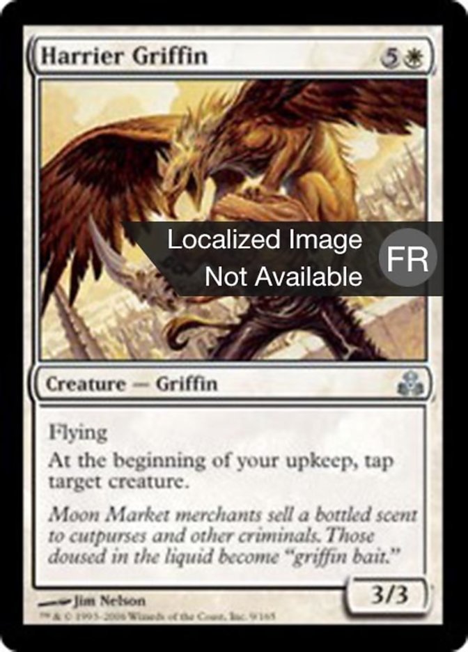 image Griffon busard