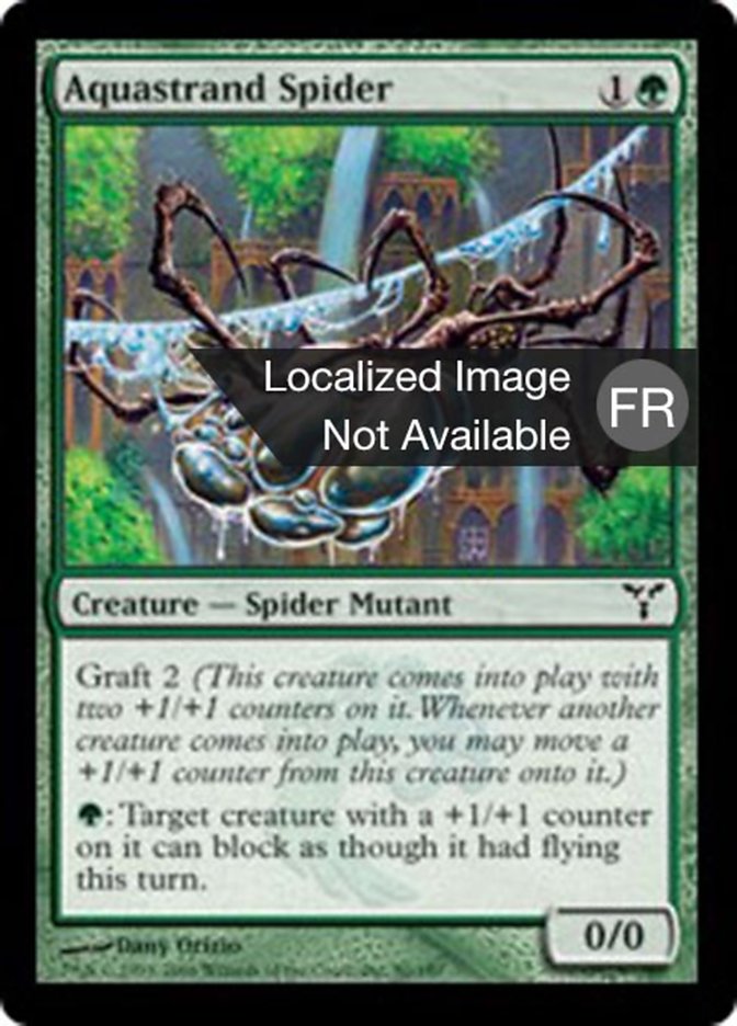 image Araignée aiguafile