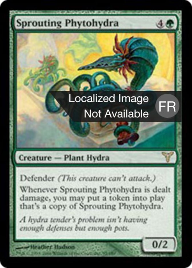 image Phytohydre bourgeonnante
