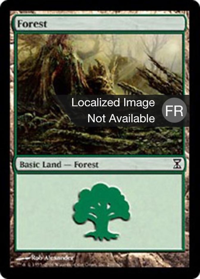 image Forêt