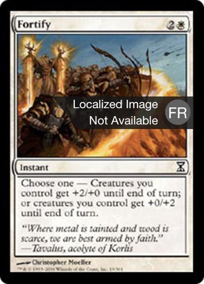 image Fortifier