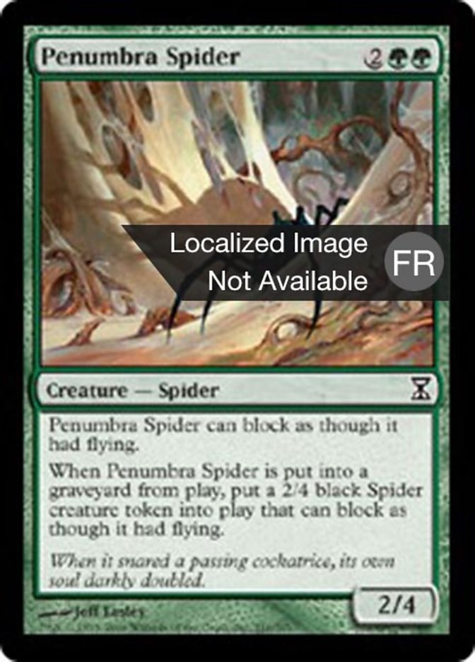 image Araignée de la pénombre