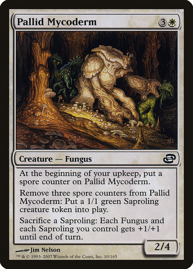 image Pallid Mycoderm