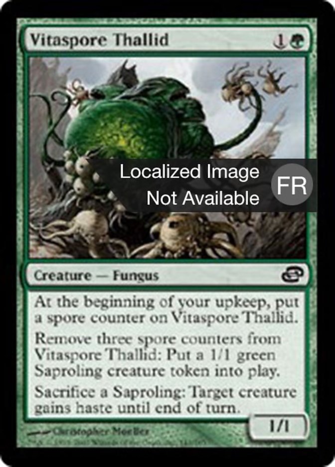 image Thallidé vitaspore