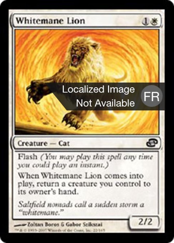 image Lion à crinière blanche