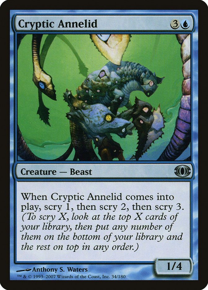 image Cryptic Annelid