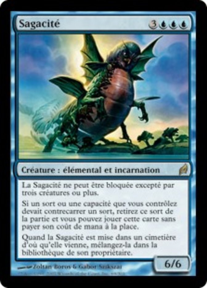 image Sagacité
