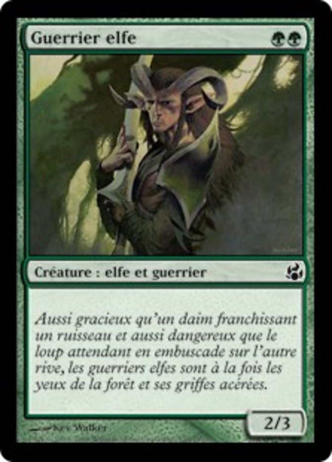 image Guerrier elfe