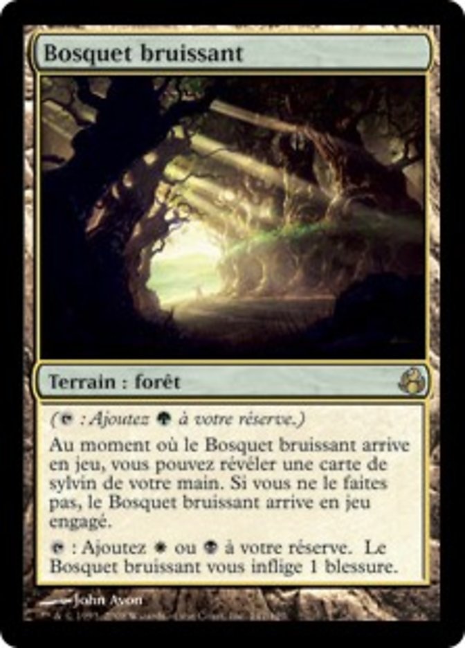 image Bosquet bruissant