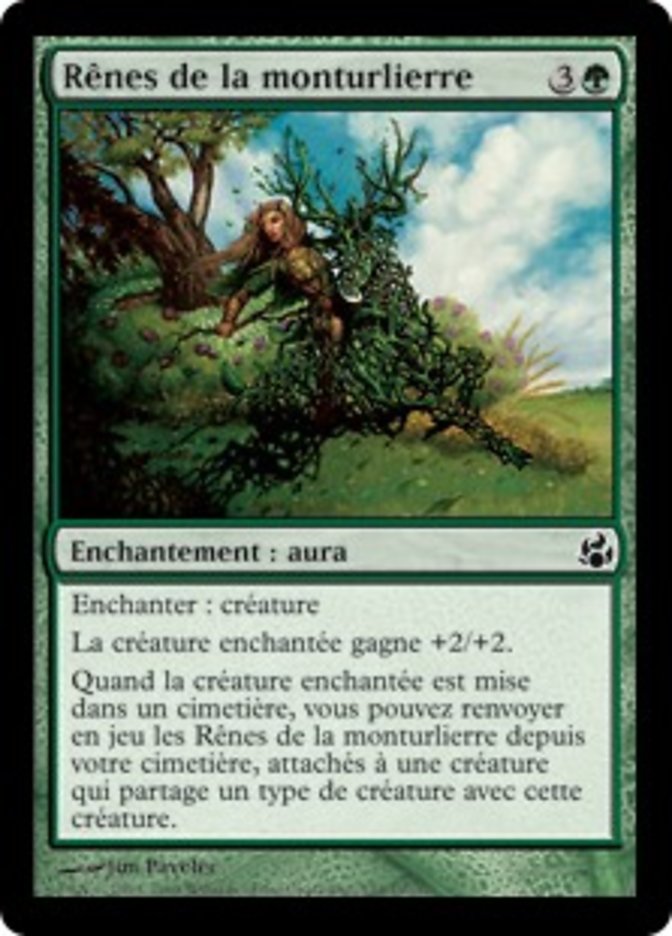 image Rênes de la monturlierre