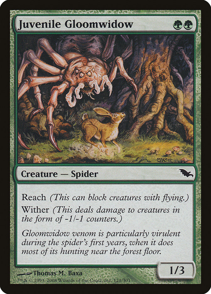 image Juvenile Gloomwidow