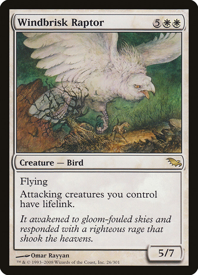 image Windbrisk Raptor