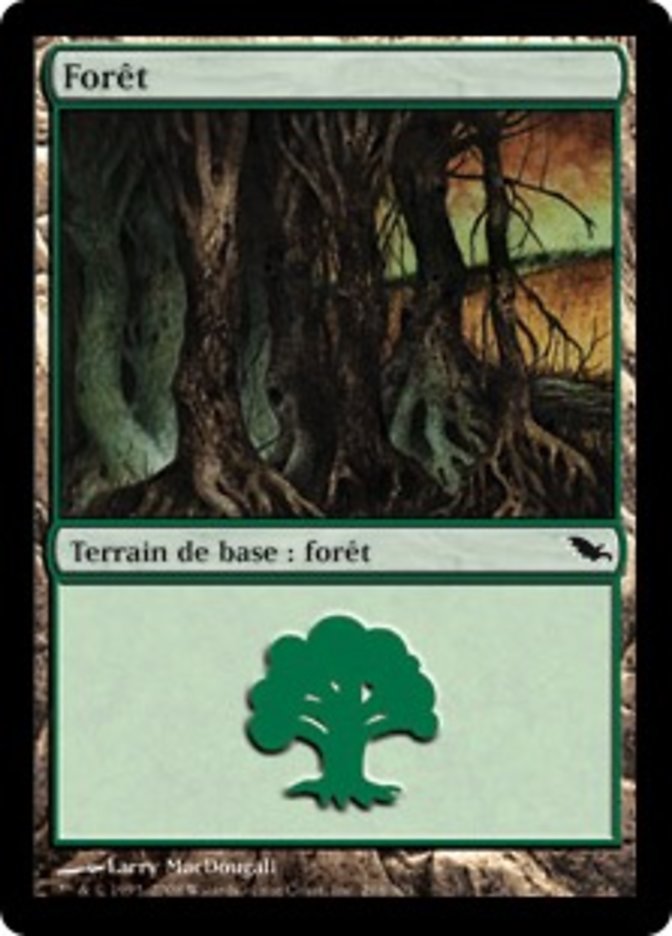 image Forêt