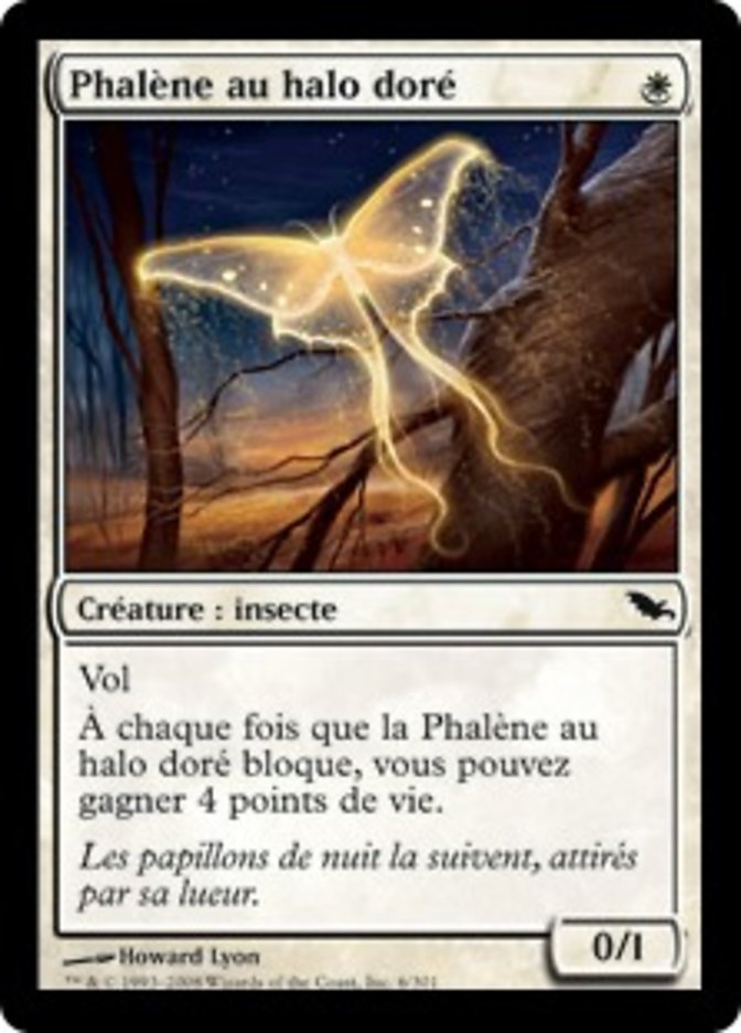 image Phalène au halo doré