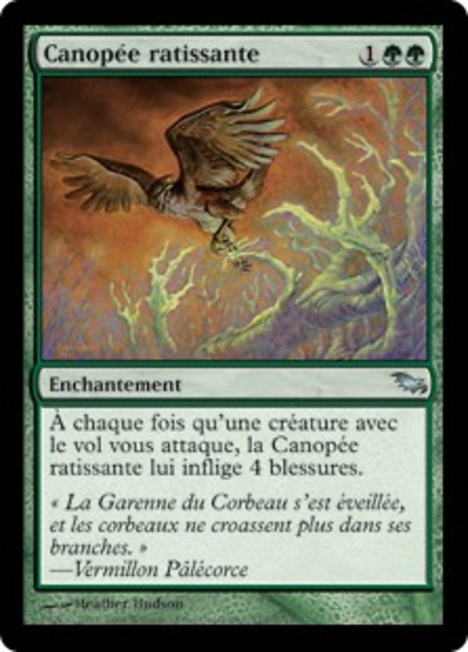image Canopée ratissante