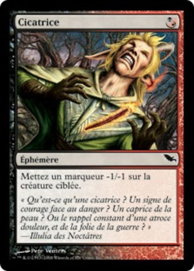image Cicatrice