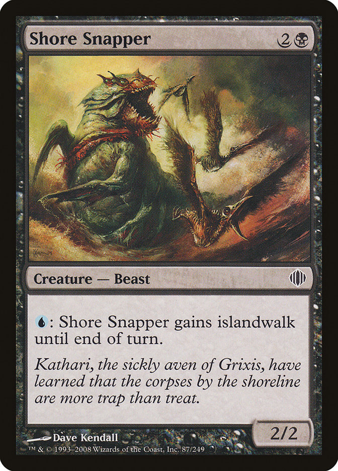 image Shore Snapper